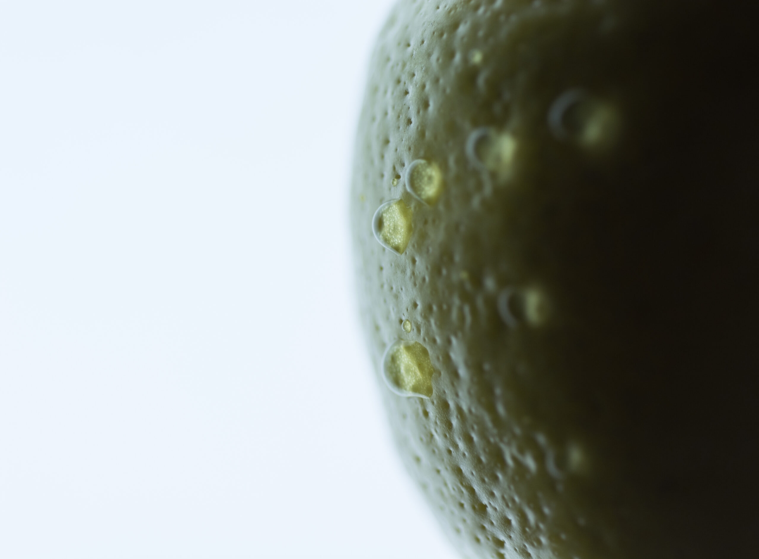 Tageslicht Food-Fotografie Limette