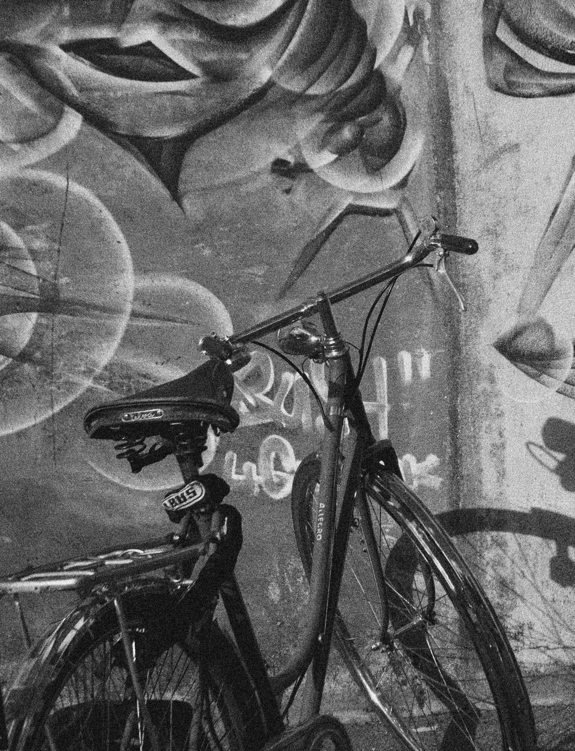 Velo